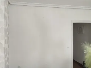 Pinturas y Decoración Profesional