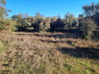 Solar en venta en Aracena