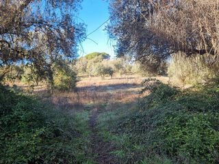 Solar en venta en Aracena
