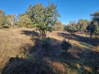 Solar en venta en Aracena