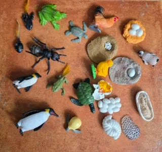 Lote mini animales educativos juguete