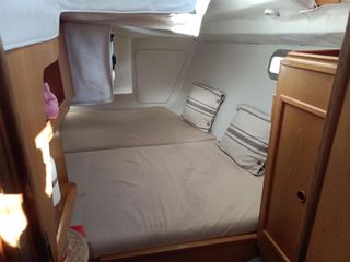 Barco Feeling 286 Special