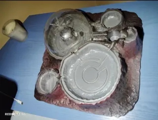 Botanicefa Juego Lifetime Wild