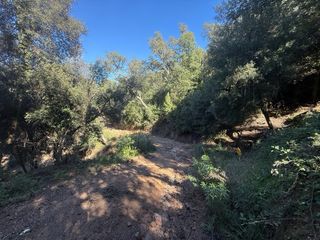 Vendo terreno rústico de 9.645 m² en plena natural