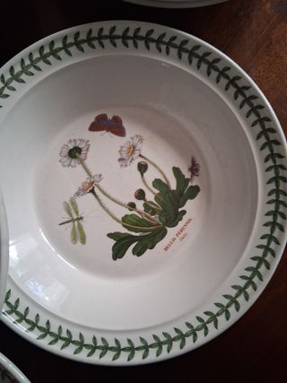 Portmeirion 5 Piatti Fondi Botanico+3imperfetti