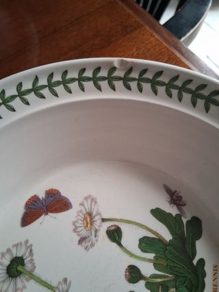 Portmeirion 5 Piatti Fondi Botanico+3imperfetti