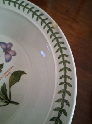 Portmeirion 5 Piatti Fondi Botanico+3imperfetti