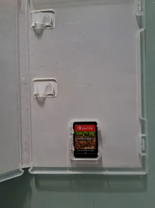 Minecraft Nintendo Switch