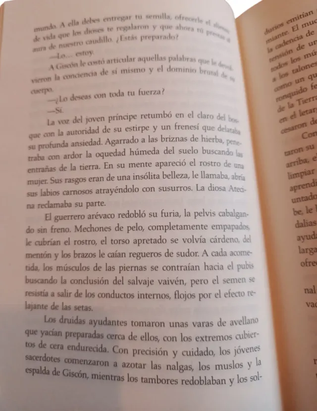 El Druida Celtibero/ The Druid Celtiberian (Spa...