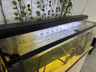 Acuario 300L Completo