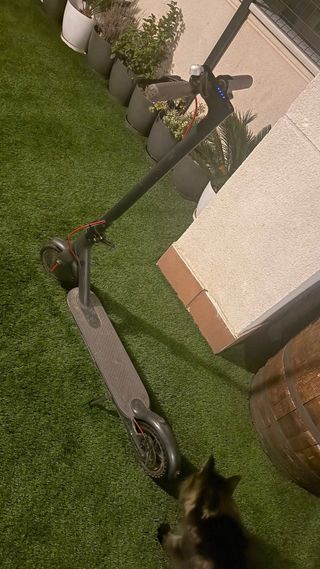 Patinete Eléctrico Xiaomi