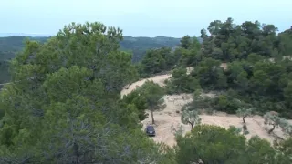 Terreno con olivos, finca con olivos y pinares .