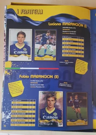 Album Figurine Panini Hellas Verona