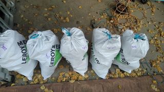 Leña de encina en Sacos