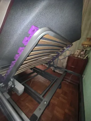 Cama Geriátrica Eléctrica