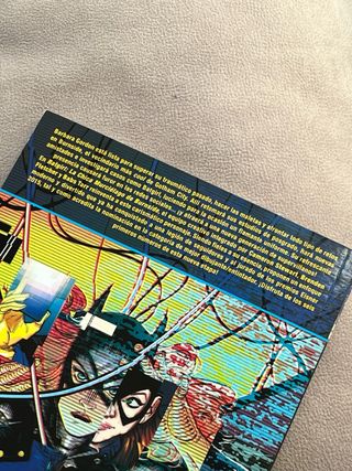 Batgirl: La chica murciélago de Burnside (Spani...