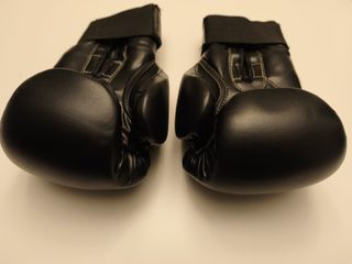 Guantoni Boxe Vandal Rex 10 oz