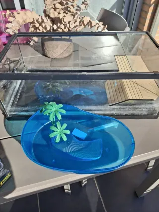 Terrario completo para tortugas de agua