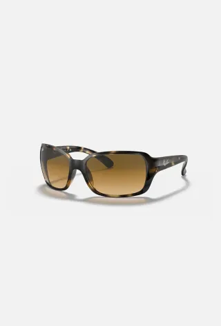 Gafas de Sol Ray-Ban RB4068 Marrón