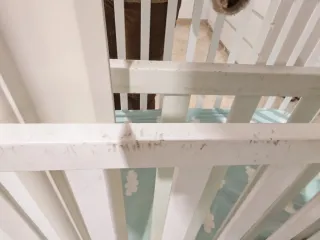 Cuna de bebé blanca 60x120 Con colchón antiasfixia