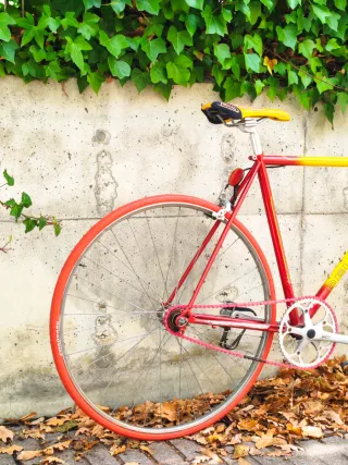 Bicicleta Peugeot Fixie