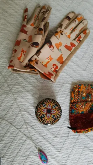 Collar,Joyero, guantes y funda.