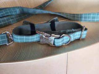 Correa y collar con pajarita para perro