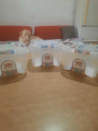 Tris vaschette porta alimenti