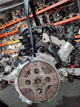 MOTOR COMPLETO BMW X5 (E53) 3.0d | 10.03 - 12