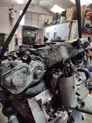 MOTOR COMPLETO BMW X5 (E53) 3.0d | 10.03 - 12