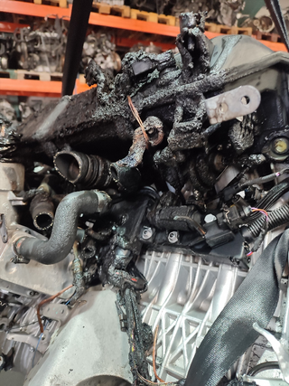 MOTOR COMPLETO BMW X5 (E53) 3.0d | 10.03 - 12