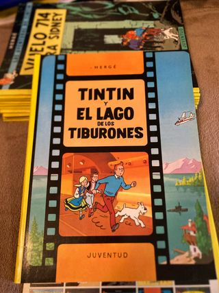 Tintín y el lago de los tiburones (rústica)