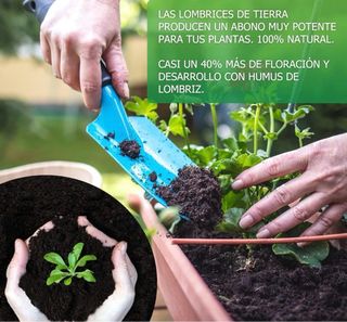 Compostador lombrices compostera