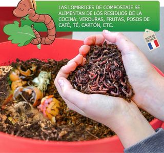 Compostador lombrices compostera