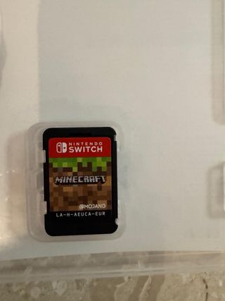 Minecraft Nintendo Switch