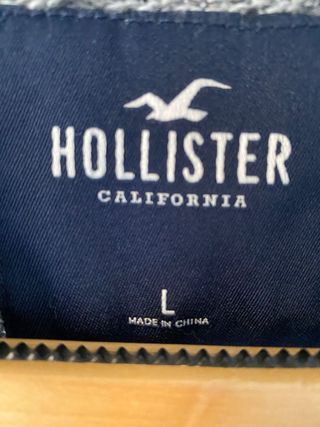 Jersey Hollister