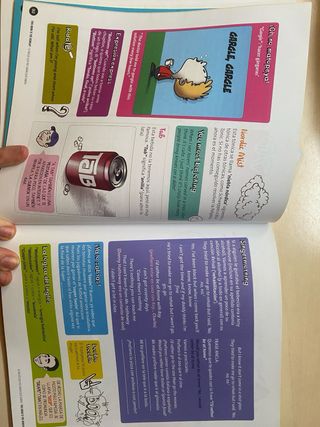 This book is the Remilk!!: El inglés que no sab...