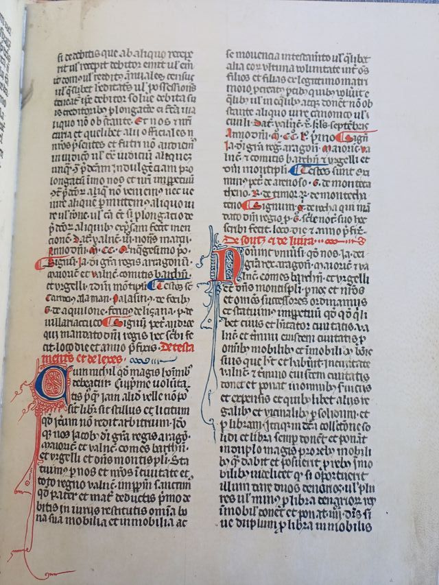 El llibre dels privilegis de Valencia