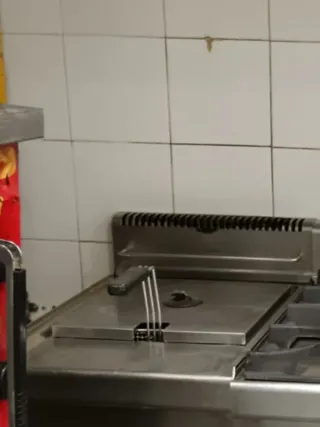 Freidora Profesional 40x66