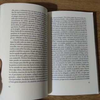 Libro - Intrusos y huéspedes (2005) Luis Magrinyà