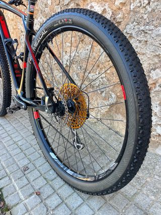 Bicicleta BERRIA BRAVO CARBONO