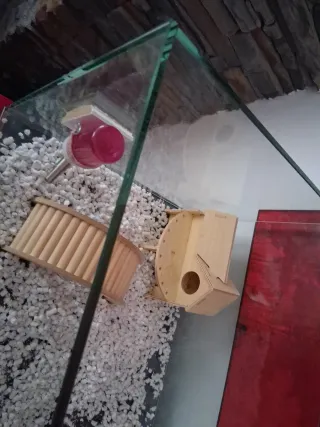 Gran oferta Terrario Grande de Cristal