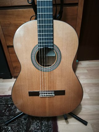 guitarra José Torres C40 ou troca presencial