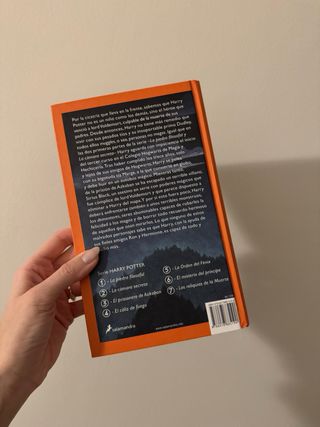 Harry Potter y el prisionero de Azkaban (Harry ...