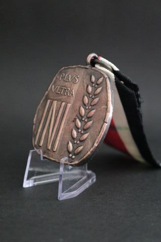 Medalla Española Plus Ultra INI (Bronce)