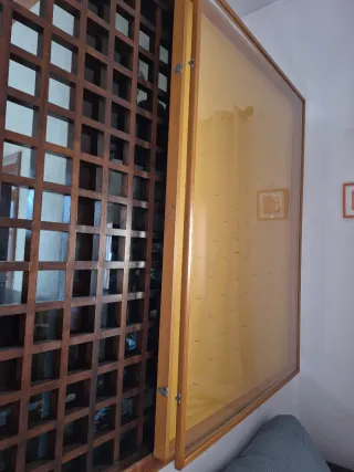 Vitrina ideal exposicion coleccionista.