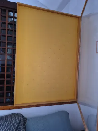 Vitrina ideal exposicion coleccionista.