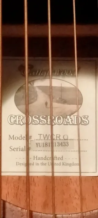 Guitarra Acústica Tanglewood Crossroads TWCR0