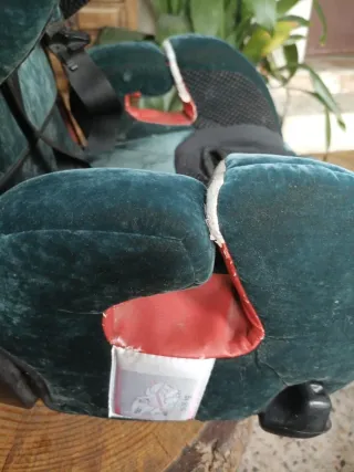 Silla coche RECARO Young Sport