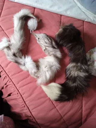 Pieles de zorro y conejo